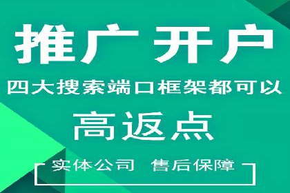 百度推广全攻略：成功案例剖析
